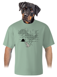 unisex túlméretezett póló