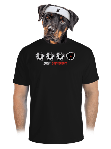 Fekete bárány férfi sportpóló Black