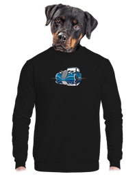 unisex crewneck
