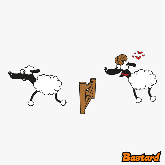 Sheeps in love