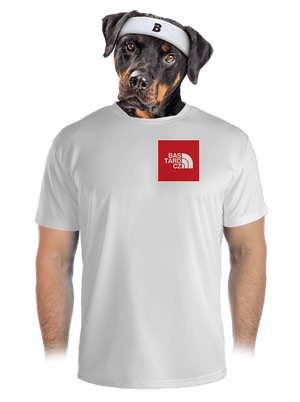 férfi sportpóló
