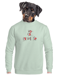 unisex crewneck