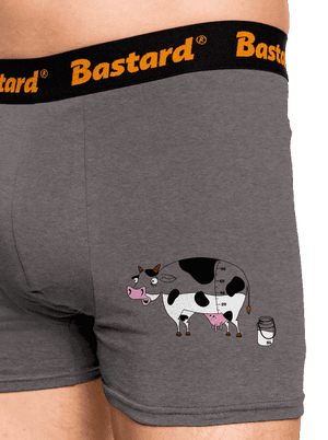 Tehén boxeralsó Gray Melange