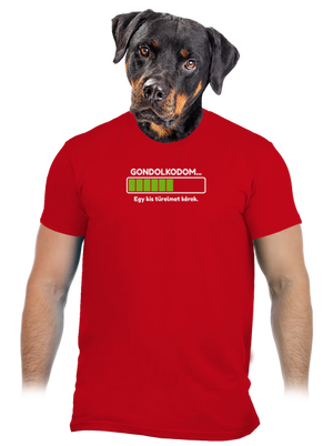 Gondolkodom férfi póló Red