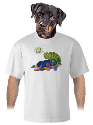 Zavart kaméleon unisex túlméretezett póló White