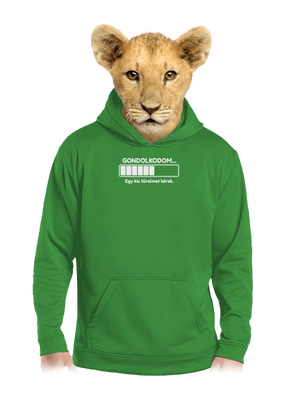 Gondolkodom gyerek kenguruzsebes pulóver Kelly Green AWD