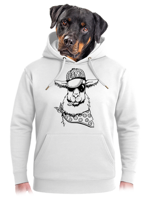 unisex prémium pulóver