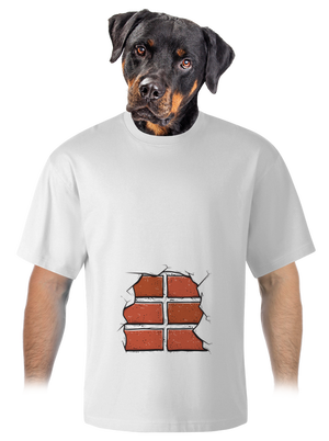 unisex túlméretezett póló