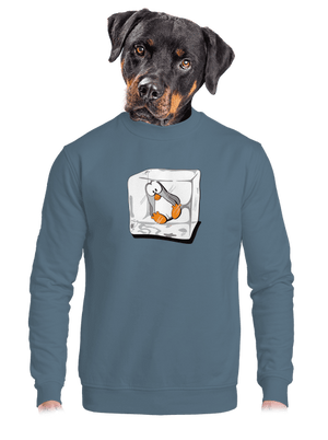 unisex crewneck