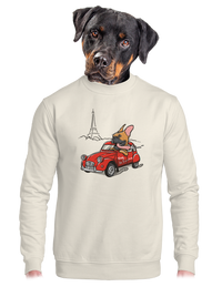 unisex crewneck