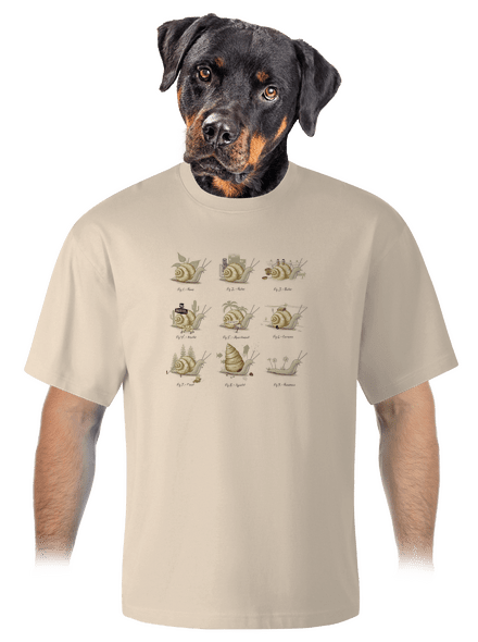 Édes otthon unisex túlméretezett póló Almond