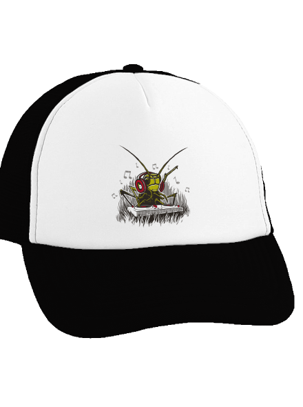 DJ tücsök teherautós sapka Black cap