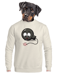 unisex crewneck