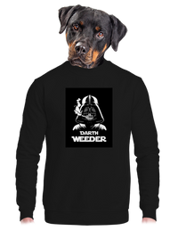 unisex crewneck