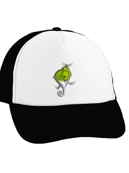 Hibajavító teherautós sapka Black cap