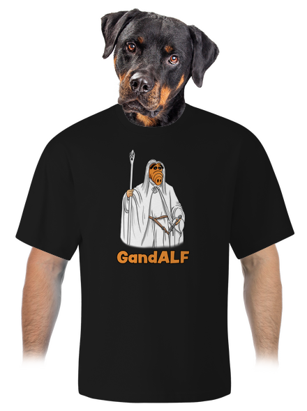 GandALF unisex túlméretezett póló Black