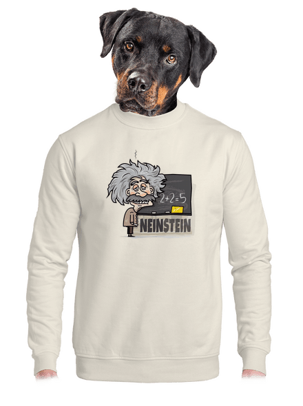 Neinstein unisex crewneck Off White