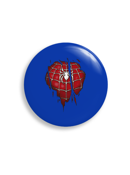 Spider inside  