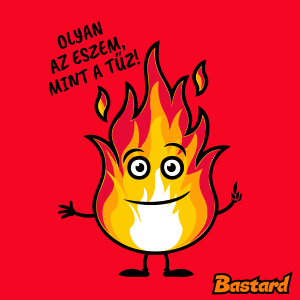 Olyan az eszem, mint a tűz!