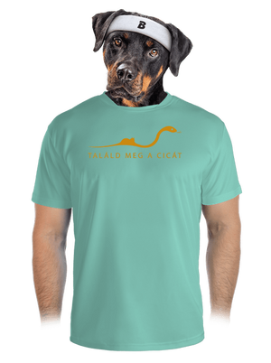 Találd meg a cicát férfi sportpóló Mint Mal