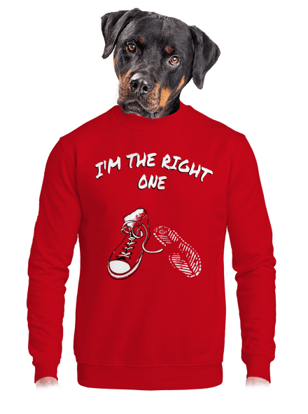Keresem a megfelelőt unisex crewneck Red