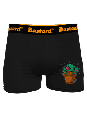 boxeralsó