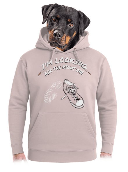 Keresem a megfelelőt unisex prémium pulóver Rose Chalk