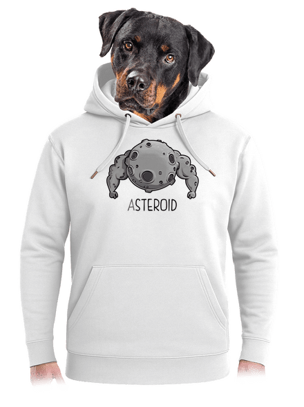 Asteroid unisex prémium pulóver Snowwhite