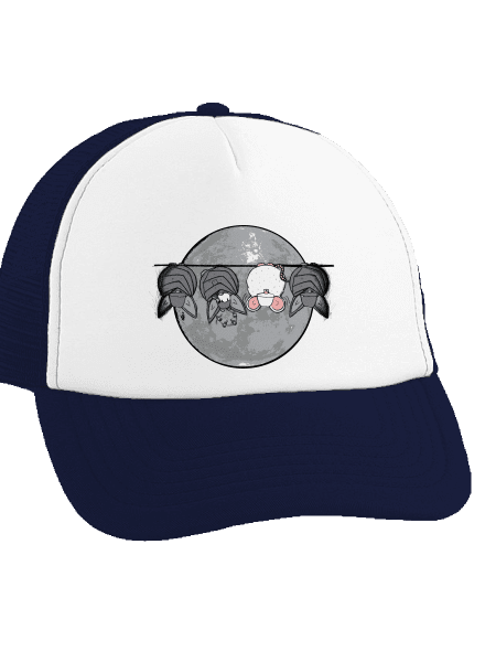 Opilý netopýr teherautós sapka French Navy cap