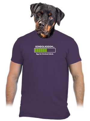 Gondolkodom férfi póló Urban Purple
