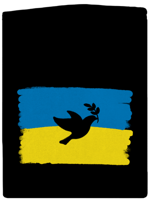  cipzáras férfi pulóver Black