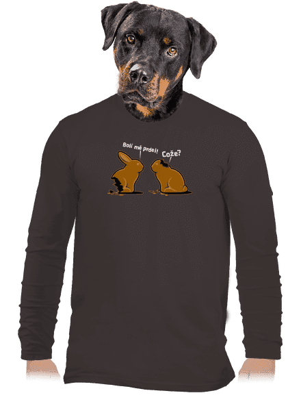 Fáj a seggem! férfi hosszú ujjú póló Bear Brown