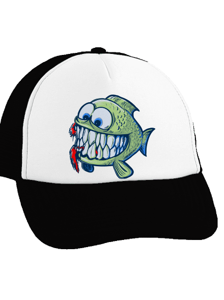  teherautós sapka Black cap