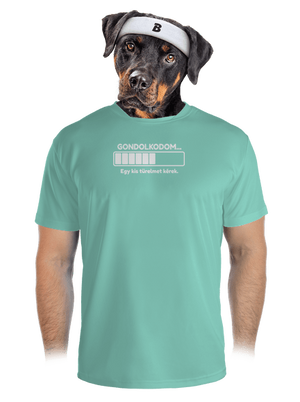 Gondolkodom férfi sportpóló Mint Mal