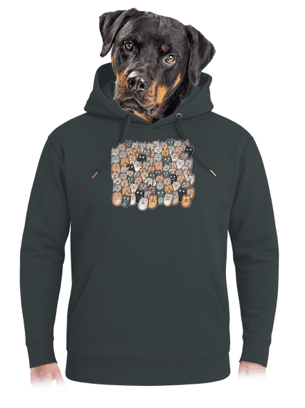 Találd meg az ördögöt unisex prémium pulóver Charcoal