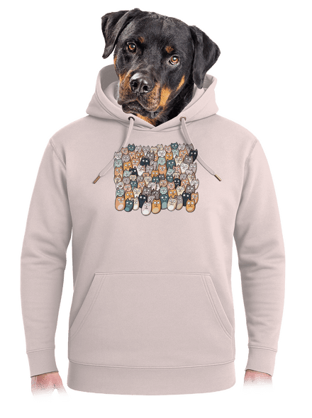 Találd meg az ördögöt unisex prémium pulóver Rose Chalk