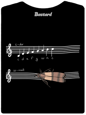 A - moll prémium női póló Black