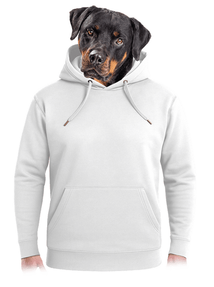 Nyomtatás nélkül unisex prémium pulóver Snowwhite