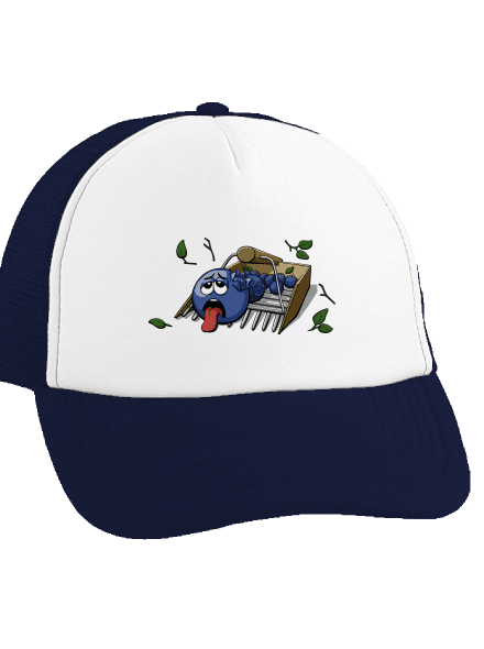 Áfonya teherautós sapka French Navy cap