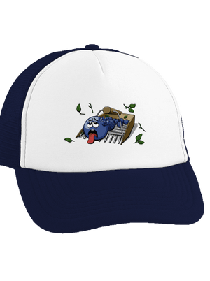 Áfonya teherautós sapka French Navy cap
