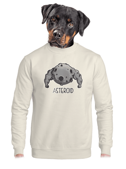 Asteroid unisex crewneck Off White