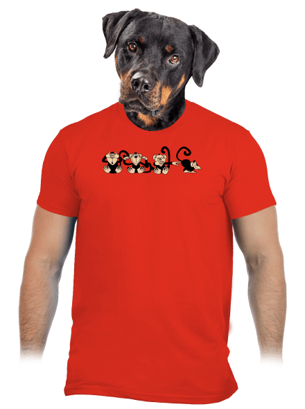 Majmok férfi póló Fiery Red