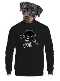 unisex crewneck
