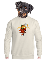 unisex crewneck