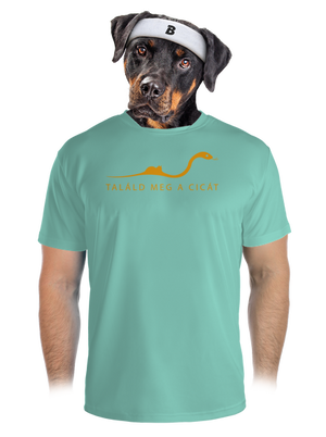 Találd meg a cicát férfi sportpóló Mint Mal