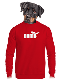 unisex crewneck