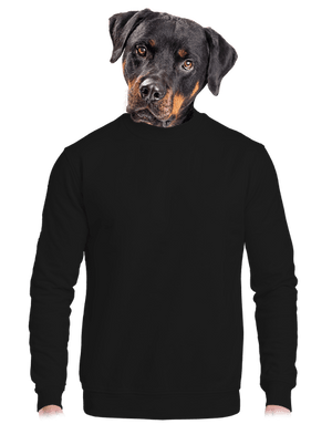 unisex crewneck