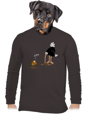 férfi hosszú ujjú póló