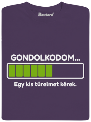 Gondolkodom férfi póló Urban Purple