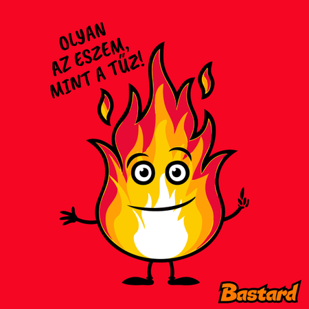 Olyan az eszem, mint a tűz!